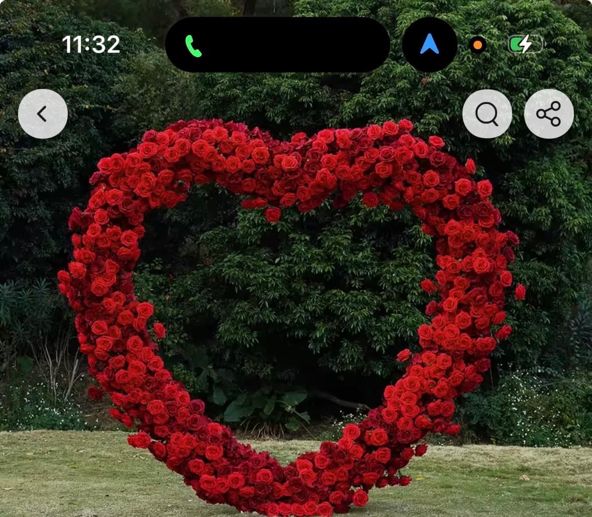 Heart-shaped flower arch in a garden